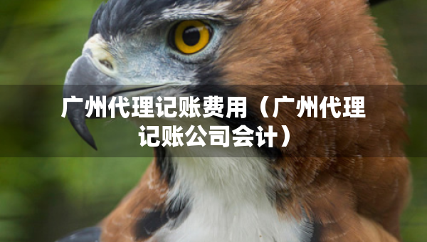 广州代理记账费用（广州代理记账公司会计）