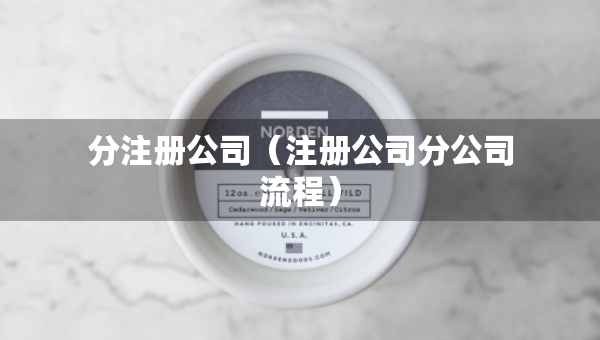 分注册公司（注册公司分公司流程）