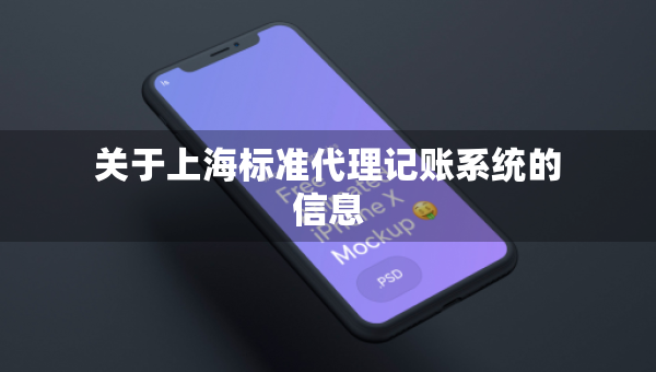 关于上海标准代理记账系统的信息