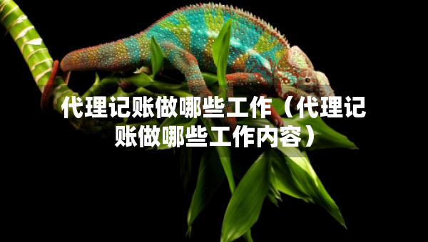代理记账做哪些工作(代理记账做哪些工作内容) 代理记账做哪些工作(代理记账做哪些工作内容)