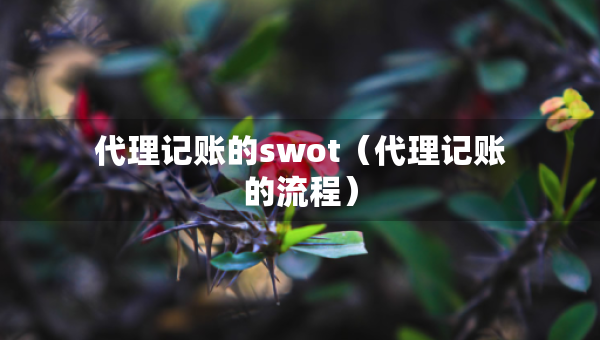 代理记账的swot（代理记账的流程）
