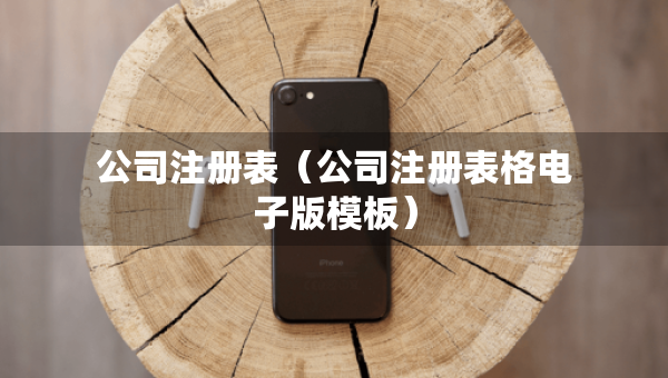 公司注册表(公司注册表格电子版模板) 公司注册表(公司注册表格电子版模板)