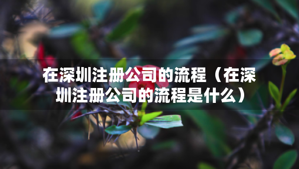 在深圳注册公司的流程（在深圳注册公司的流程是什么）
