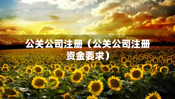 公关公司注册（公关公司注册资金要求）