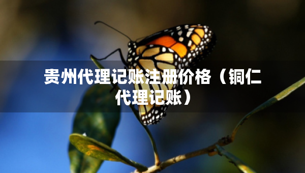 贵州代理记账注册价格（铜仁代理记账）