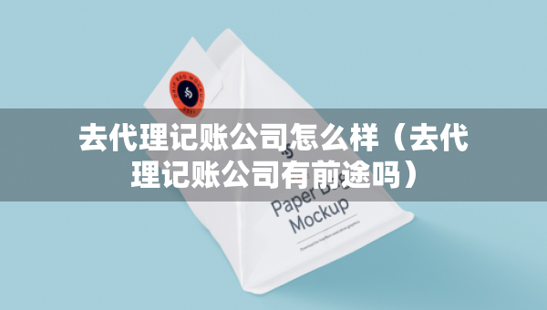 去代理记账公司怎么样（去代理记账公司有前途吗）