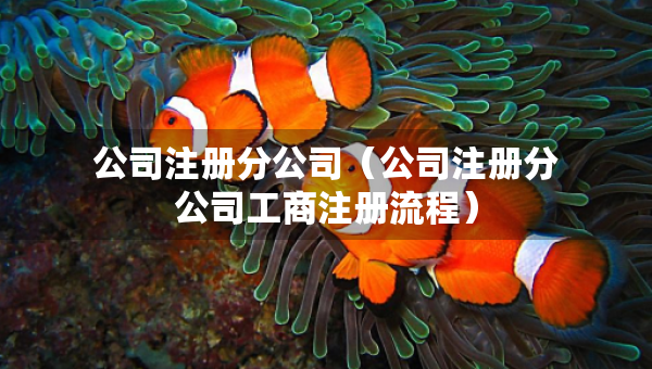 公司注册分公司（公司注册分公司工商注册流程）