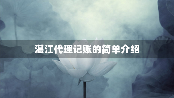 湛江代理记账的简单介绍