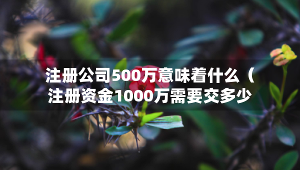 注册公司500万意味着什么（注册资金1000万需要交多少钱）