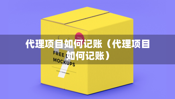代理项目如何记账（代理项目如何记账）