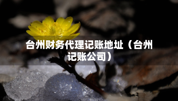 台州财务代理记账地址（台州记账公司）