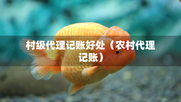 村级代理记账好处（农村代理记账）
