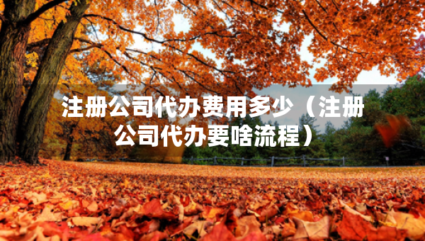 注册公司代办费用多少（注册公司代办要啥流程）