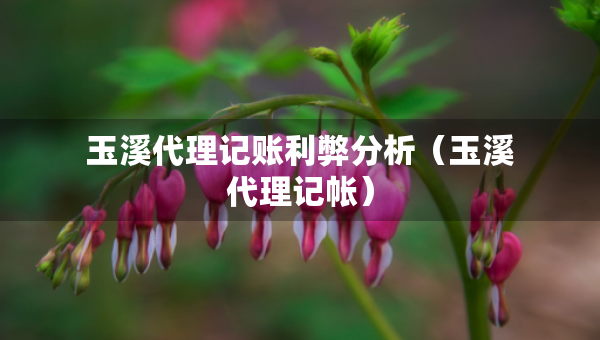 玉溪代理记账利弊分析（玉溪代理记帐）