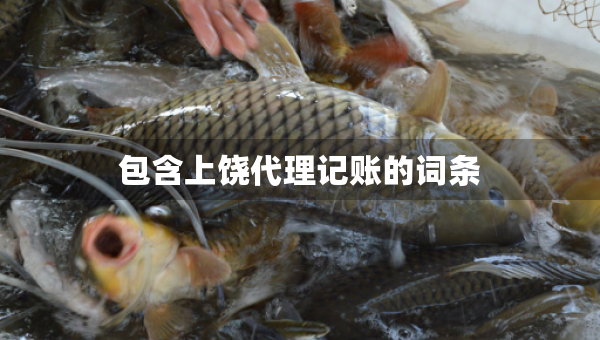 包含上饶代理记账的词条