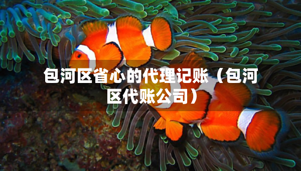 包河区省心的代理记账（包河区代账公司）