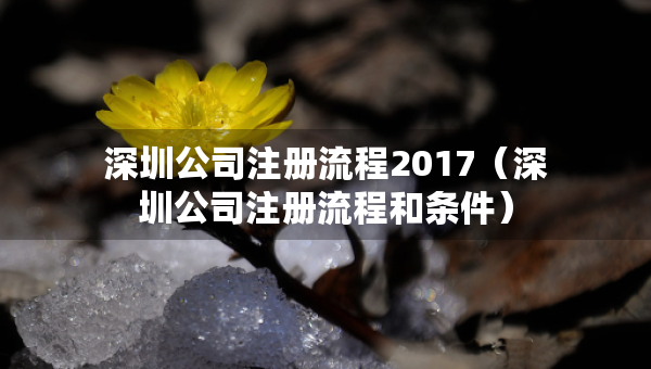 深圳公司注册流程2017（深圳公司注册流程和条件）