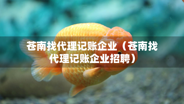 苍南找代理记账企业（苍南找代理记账企业招聘）
