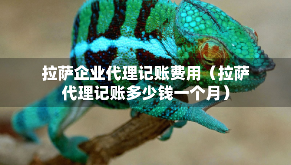 拉萨企业代理记账费用（拉萨代理记账多少钱一个月）