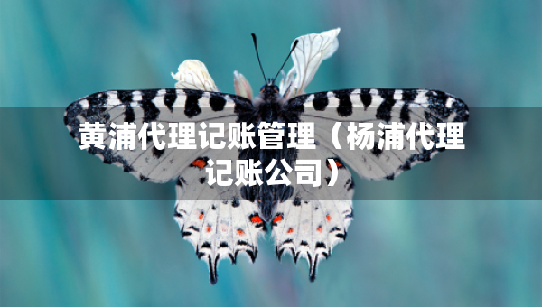 黄浦代理记账管理（杨浦代理记账公司）
