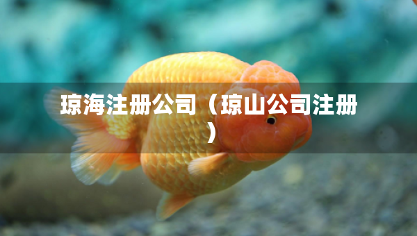 琼海注册公司（琼山公司注册）