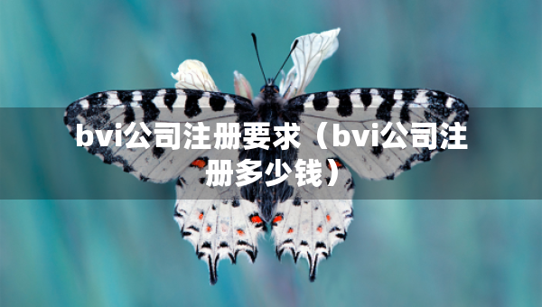 bvi公司注册要求（bvi公司注册多少钱）