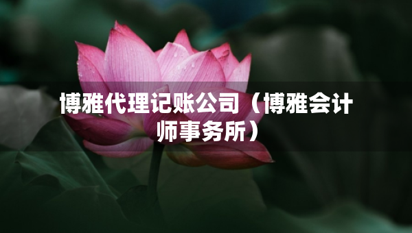 博雅代理记账公司（博雅会计师事务所）