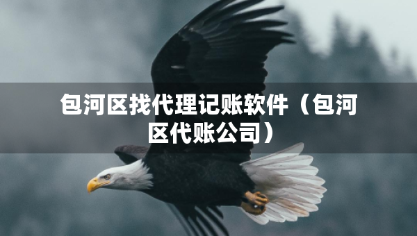 包河区找代理记账软件（包河区代账公司）