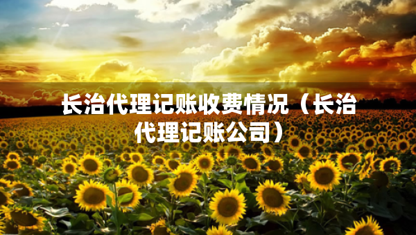 长治代理记账收费情况（长治代理记账公司）