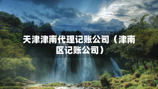 天津津南代理记账公司（津南区记账公司）