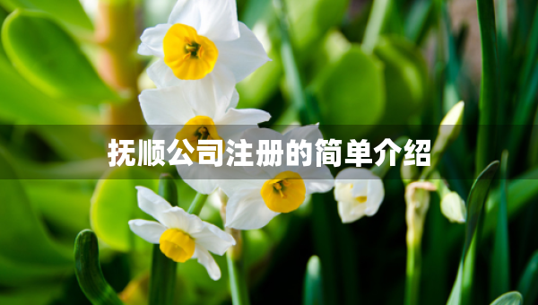 抚顺公司注册的简单介绍