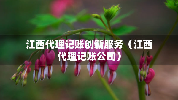 江西代理记账创新服务（江西代理记账公司）