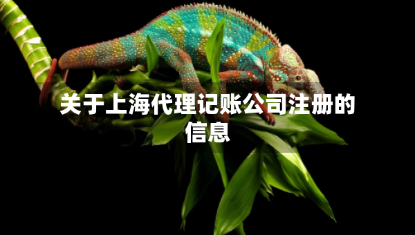 关于上海代理记账公司注册的信息