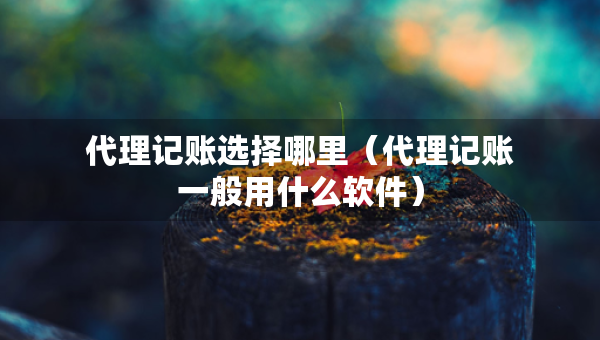 代理记账选择哪里（代理记账一般用什么软件）