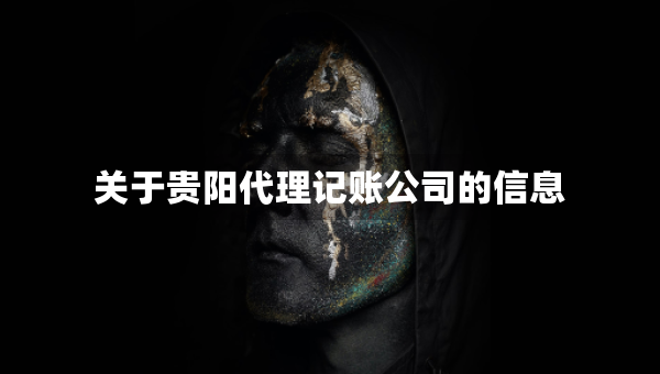 关于贵阳代理记账公司的信息