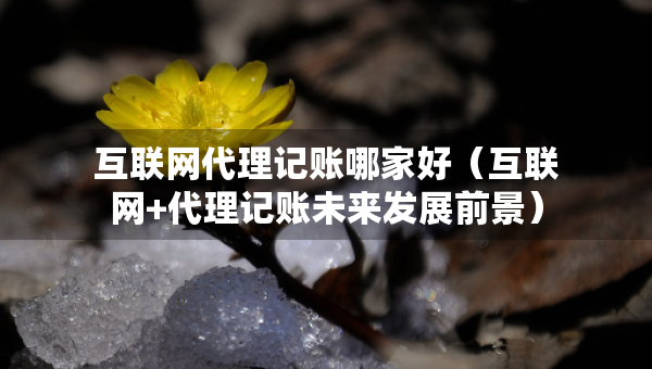 互联网代理记账哪家好（互联网+代理记账未来发展前景）