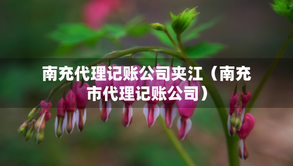 南充代理记账公司夹江（南充市代理记账公司）