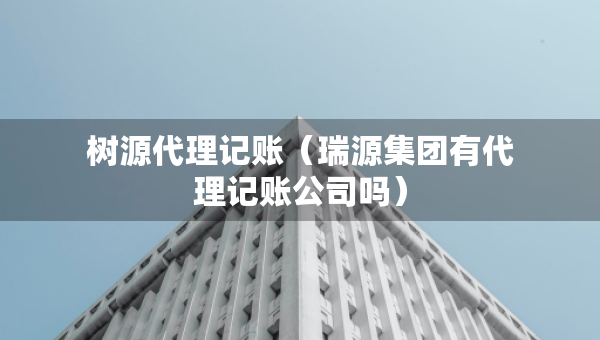 树源代理记账（瑞源集团有代理记账公司吗）