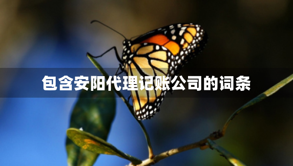 包含安阳代理记账公司的词条