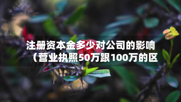 注册资本金多少对公司的影响（营业执照50万跟100万的区别）