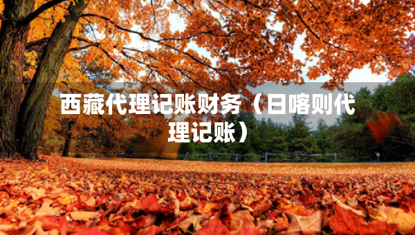 西藏代理记账财务（日喀则代理记账）