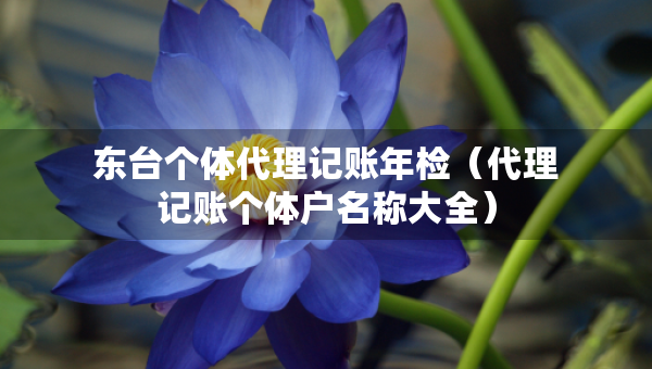 东台个体代理记账年检（代理记账个体户名称大全）