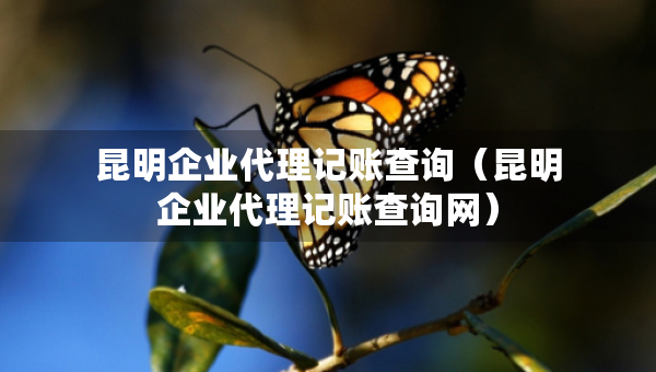 昆明企业代理记账查询（昆明企业代理记账查询网）