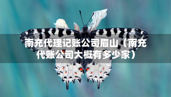 南充代理记账公司眉山（南充代账公司大概有多少家）