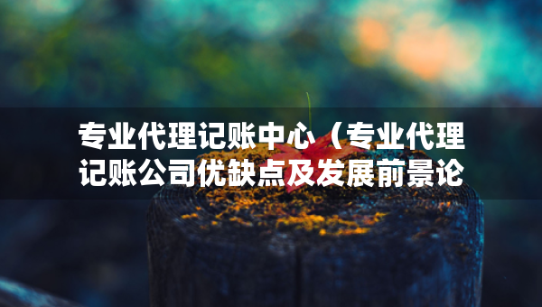 专业代理记账中心（专业代理记账公司优缺点及发展前景论文）