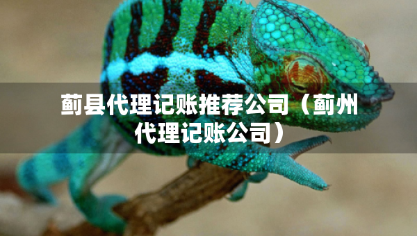 蓟县代理记账推荐公司（蓟州代理记账公司）