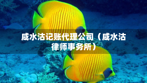 咸水沽记账代理公司（咸水沽律师事务所）