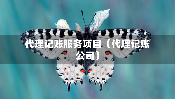 代理记账服务项目（代理记账公司）