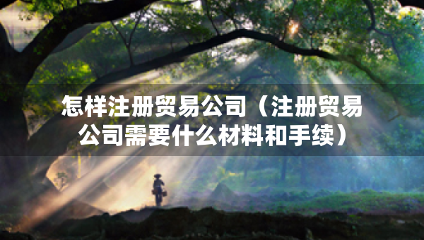 怎样注册贸易公司（注册贸易公司需要什么材料和手续）