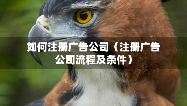 如何注册广告公司（注册广告公司流程及条件）